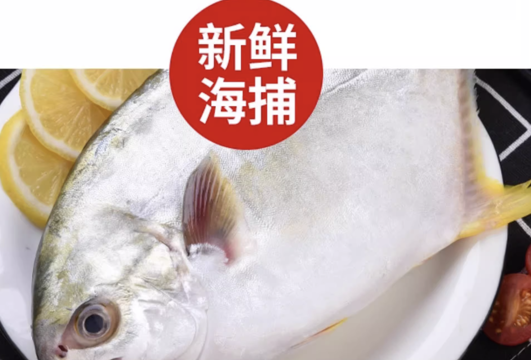1764112535740759.png image.png